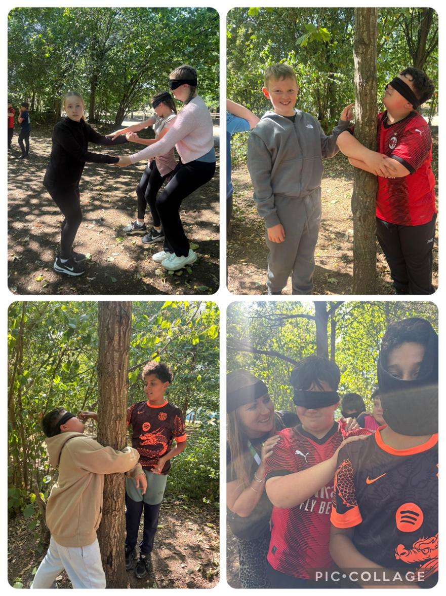 PGL4 